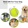 Dog Tennis Balls (20 pack)