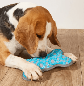 Large Embossed Nylon Dog Toy