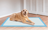 Puppy Pads for Training - 20 Count