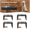 Raised Dog Food and Water Stand