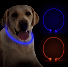 Rechargeable Collar - Orange