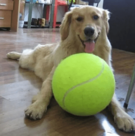 BIG Tennis Ball for Dogs