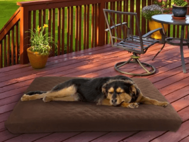 Water Resistant Memory Foam Dog Bed