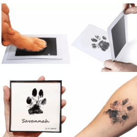 Beloved Dog or Cat Paw Print Keepsake Kit