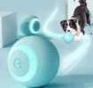Rolling Ball Toy For Small Dogs and Cats