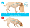 Dog Feeder Stand with Adjustable Heights