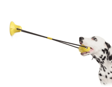 Single Suction Cup Interactive Dog Chew