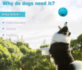 Squall Ball for Dogs