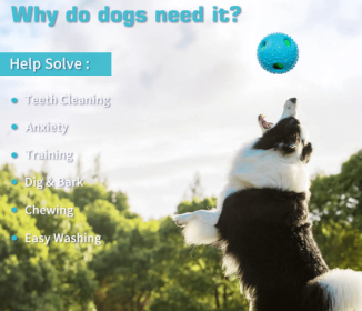 Squall Ball for Dogs