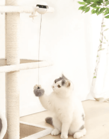 Powered Interactive Lifting Teaser Cat Toy