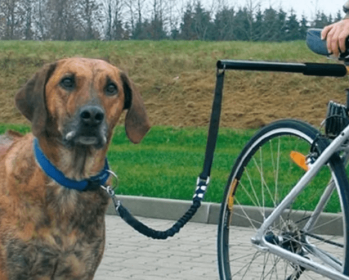 Adjustable Bicycle Leash Attachment for Dogs