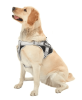 No Pull Breathable Service Dog Harness