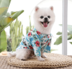 Hawaiian Beach T-Shirts for Small and Medium Dogs