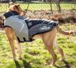 Helios Lotus-Rusher 2-in-1 Jacket for Dogs