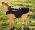 Helios Lotus-Rusher 2-in-1 Jacket for Dogs