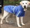 Raincoat for Dogs Waterproof and Reflective