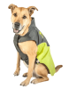 Touchdog Subzero-Storm Waterproof Dog Coat