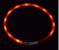 Waterproof Rechargeable LED Collar for Dogs