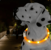 Waterproof Rechargeable LED Collar for Dogs