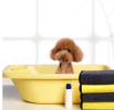 Soft Absorbent Quick Drying Towel For Dogs