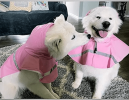 Hooded Rain Poncho for Dogs