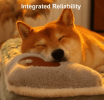 Dog Bed with Neck Support Attached Pillow