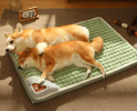 Dog Bed with Neck Support Attached Pillow