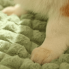 Dog Bed with Neck Support Attached Pillow