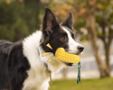 Interactive Rubber Chewing Toys for Dogs