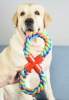 Double Loop Natural Cotton Rope Dog Chew Toy