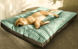 Deluxe Dog Bed