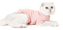 Simple Pullover Sweaters for Hairless Cats