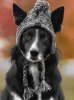 Fluffy Warm Knitted Polar Pom Hat for Dogs