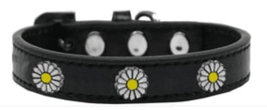 White Daisy Fun Widget Collars - Black (size: Small)