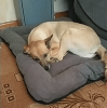 Comfy Cozy Corduroy Fur Baby Sleeping Mat
